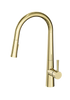 Enhance Nobel Plus Pull Down Sink Mixer Pin Lever Brushed Gold